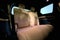 2025 Jeep Grand Cherokee L Summit 4x4
